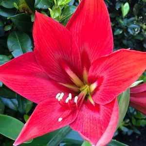 Meet your Posher, Dionne